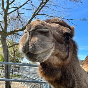 Meet your Posher, Summer